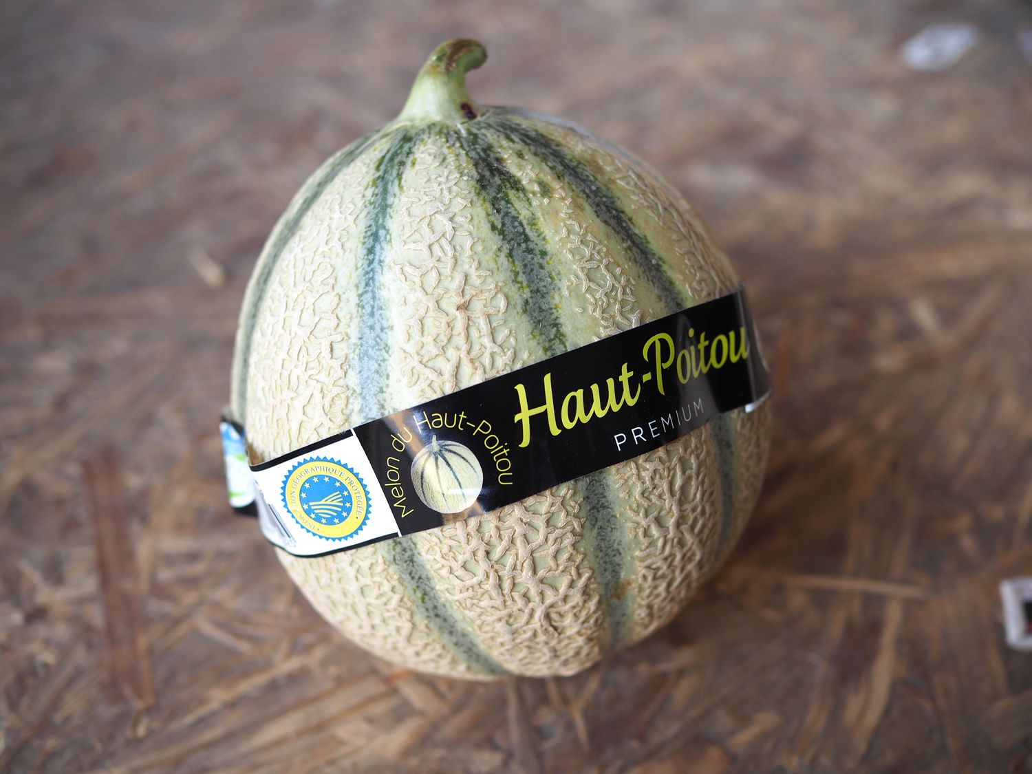 Haut-Poitou melon