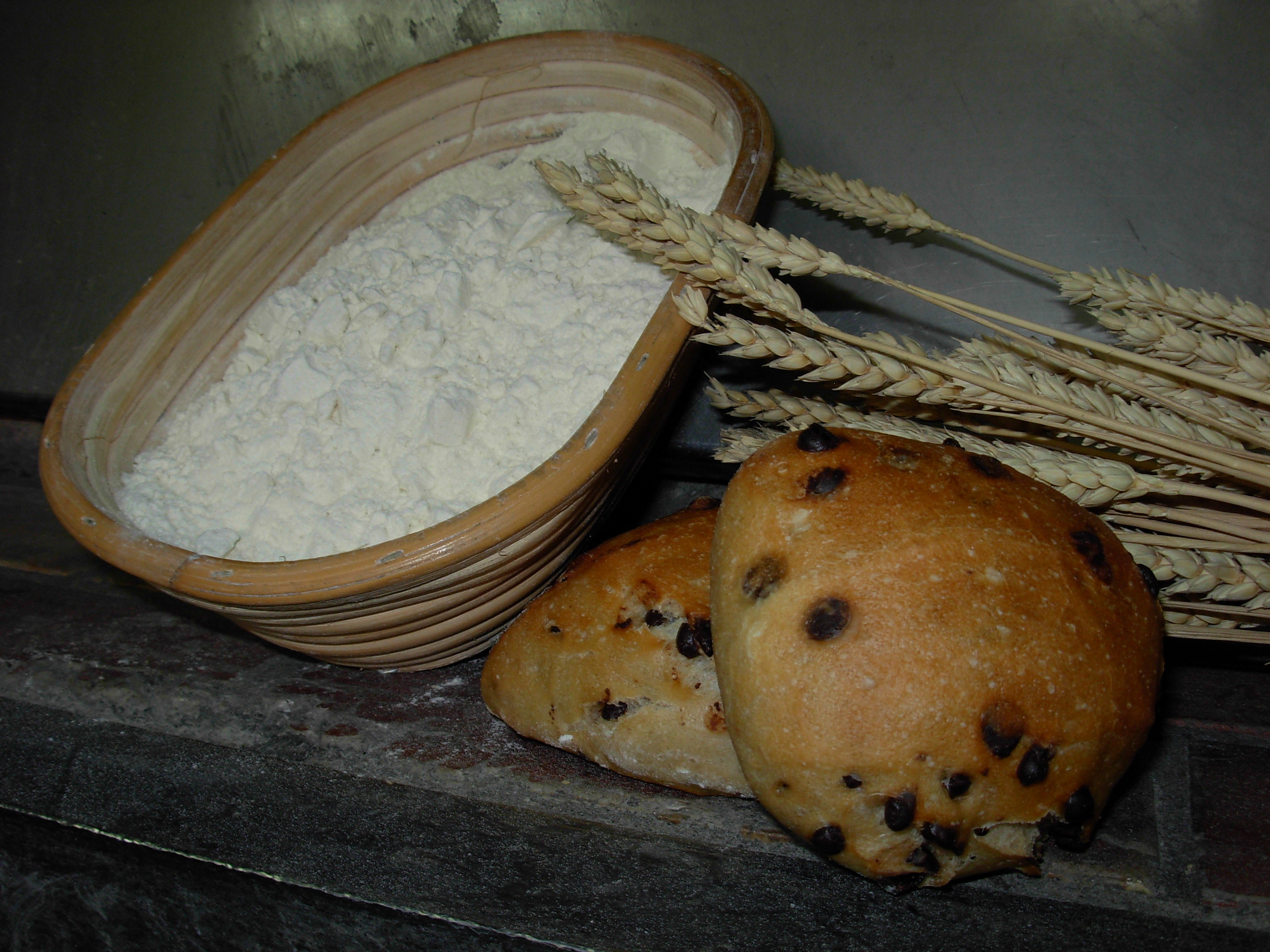 Filou Bread