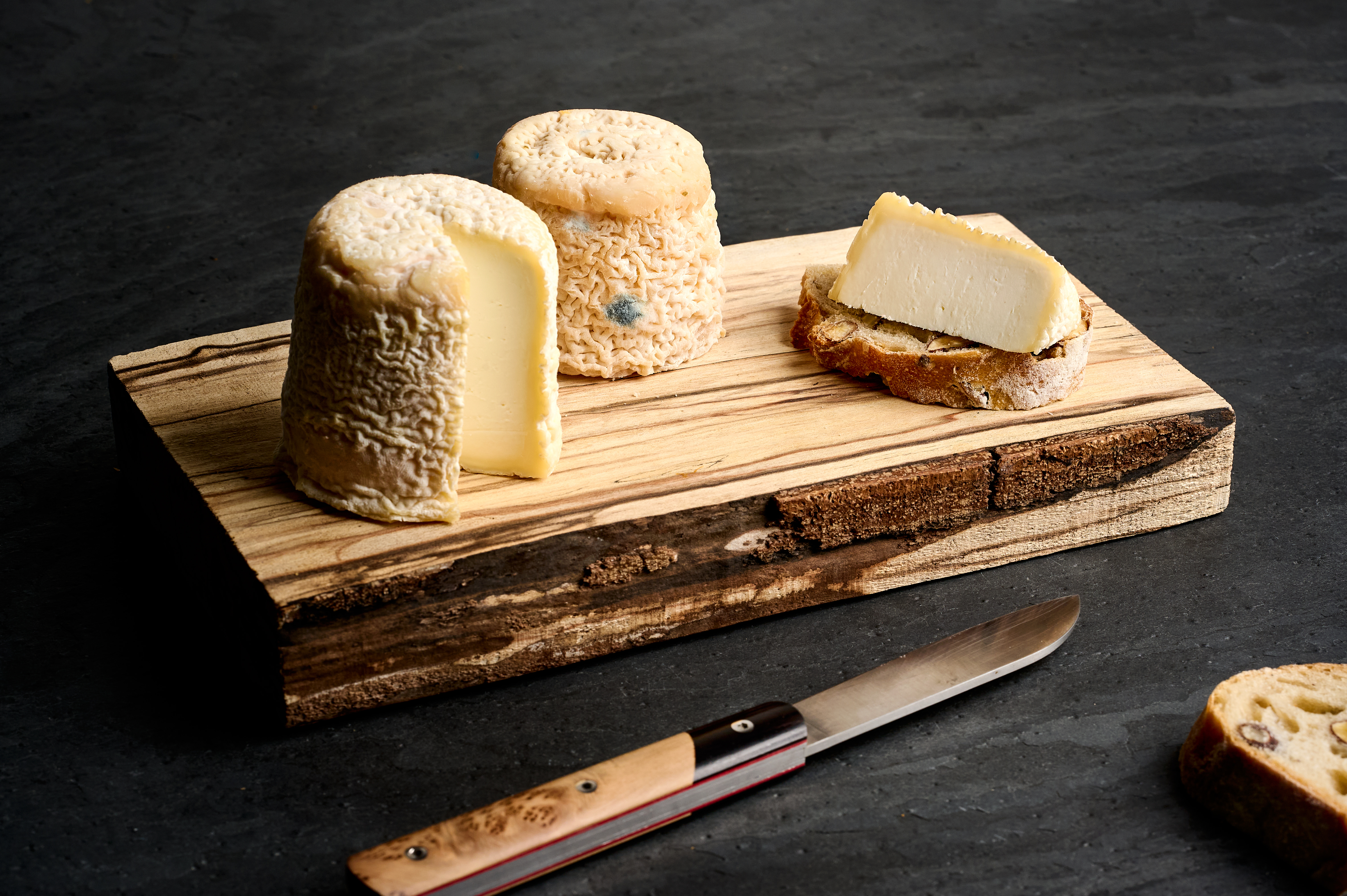 Chabichou du Poitou