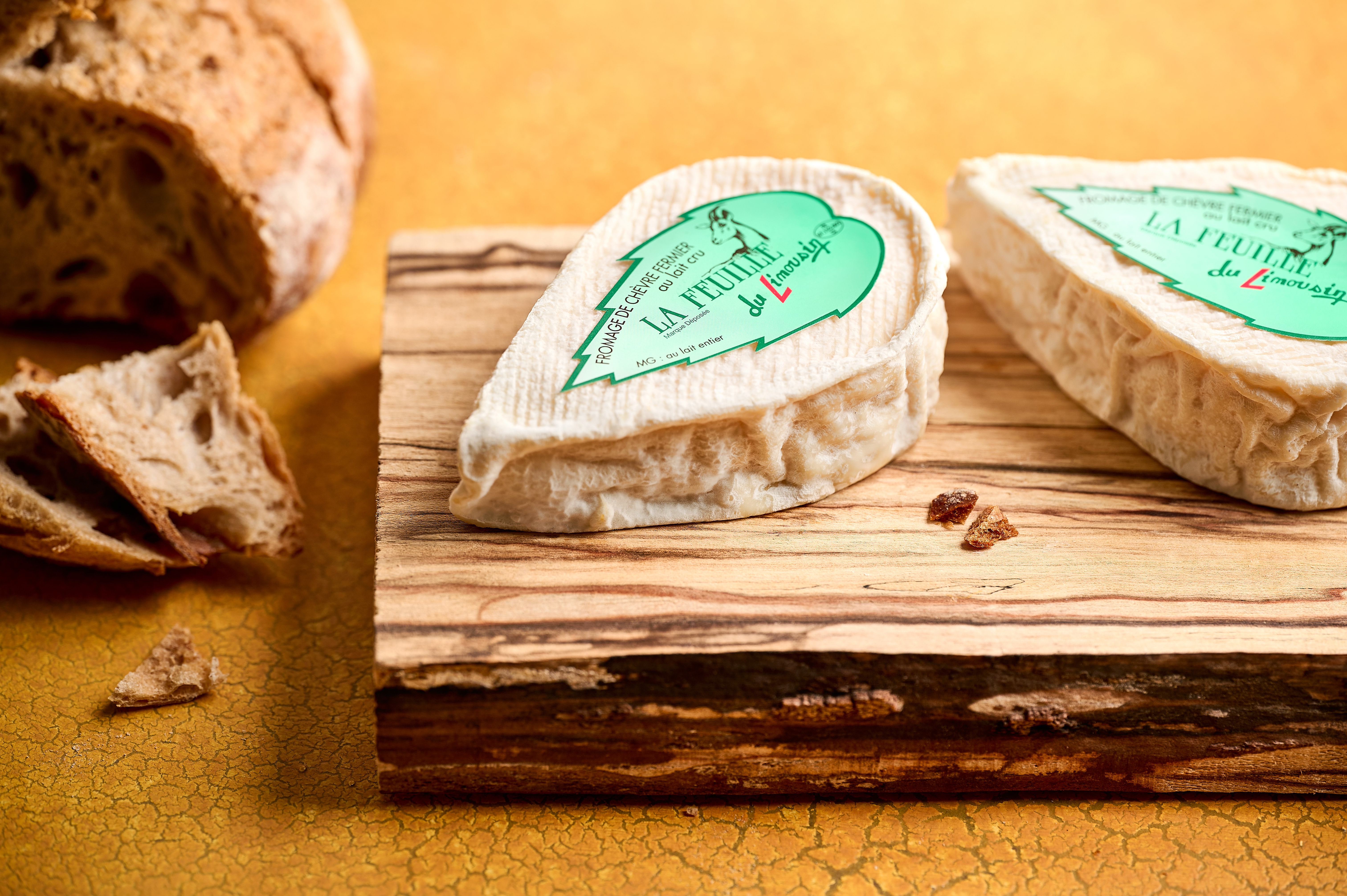 Feuille du Limousin