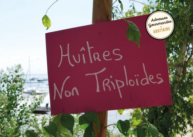 Les Huîtres Pontet
