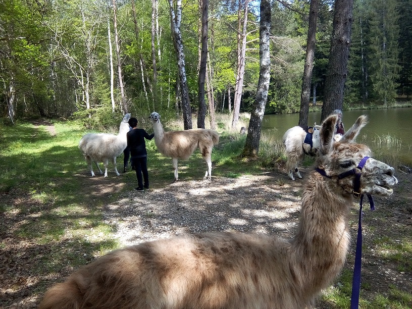 La Ferme de Lama’zière