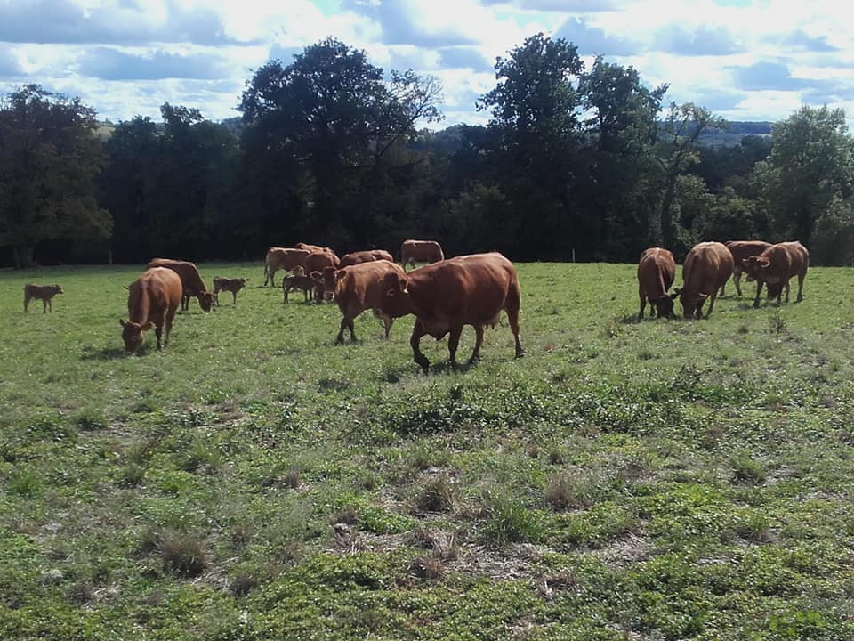 GAEC Chevalarias & fils