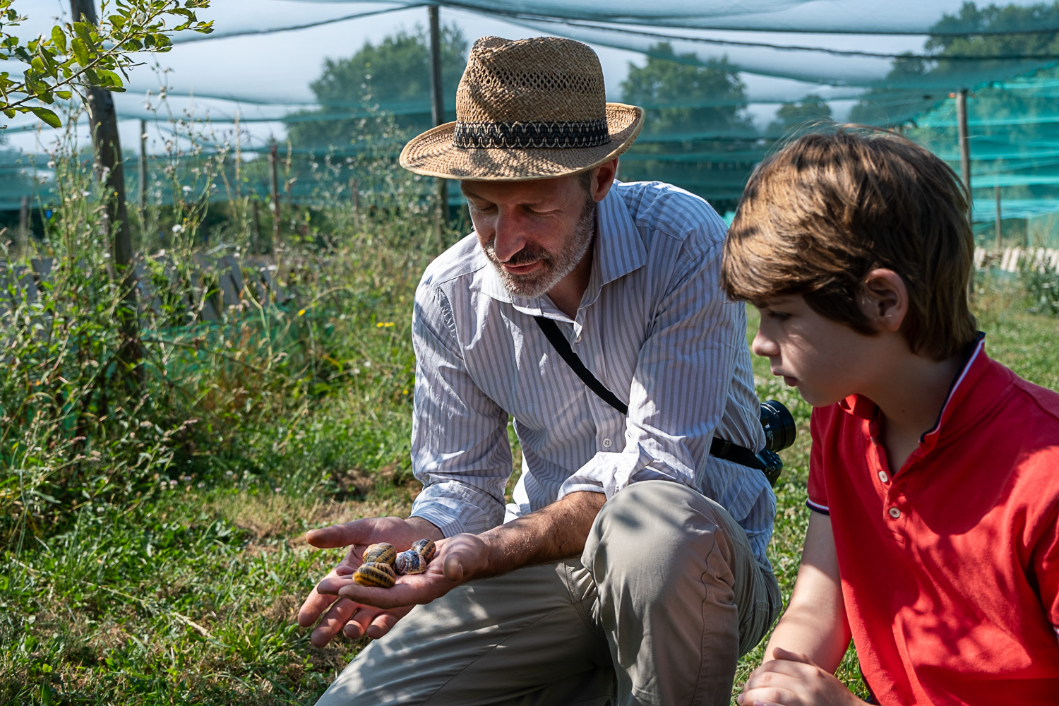 Méli-Mélo d’escargots