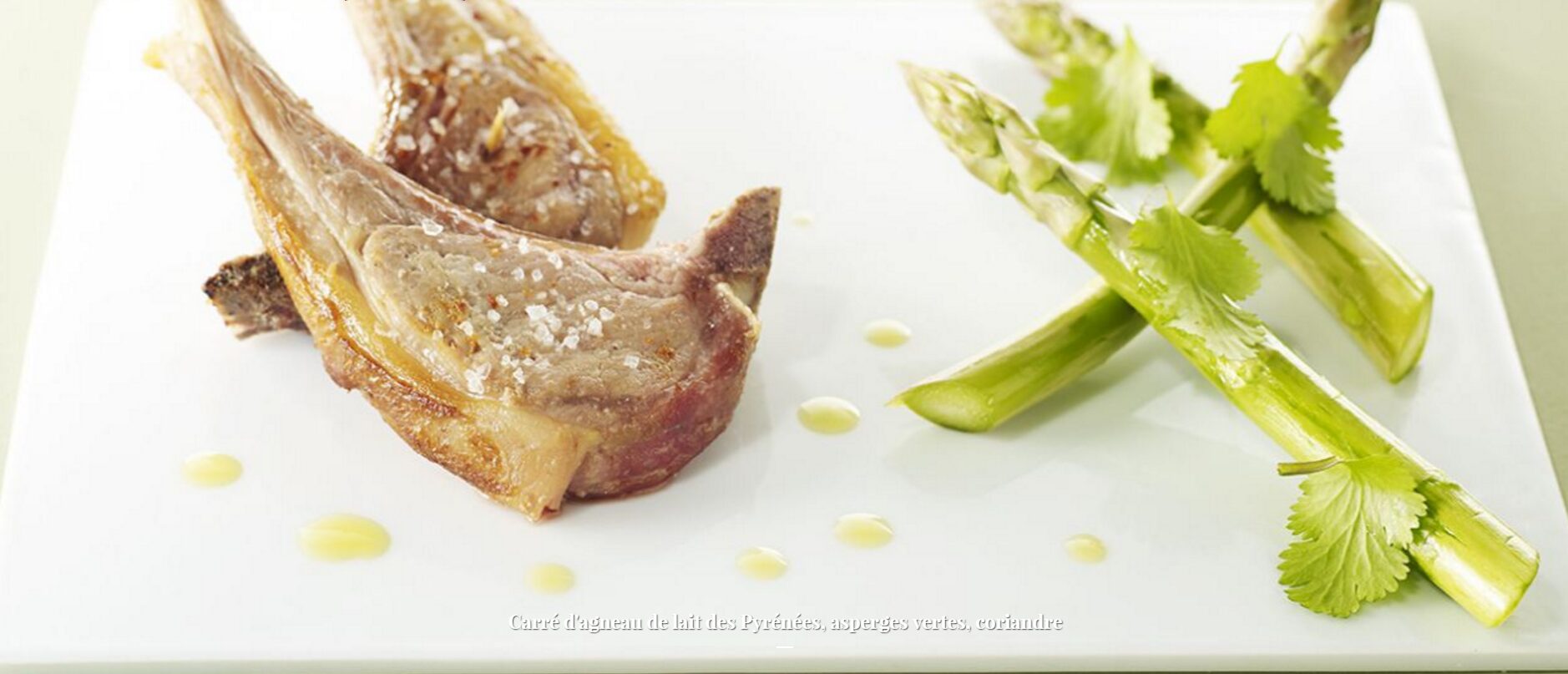 Carré d’Agneau de lait des Pyrénées IGP Label Rouge, asperges vertes et coriandre
