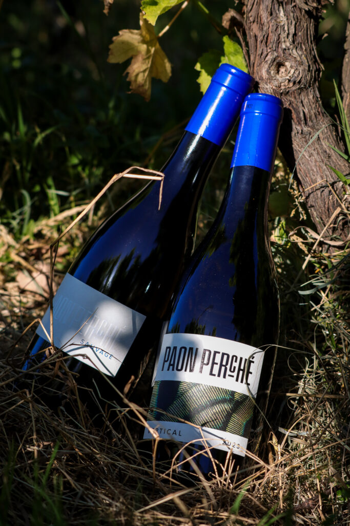 Bouteilles vin Paon perché