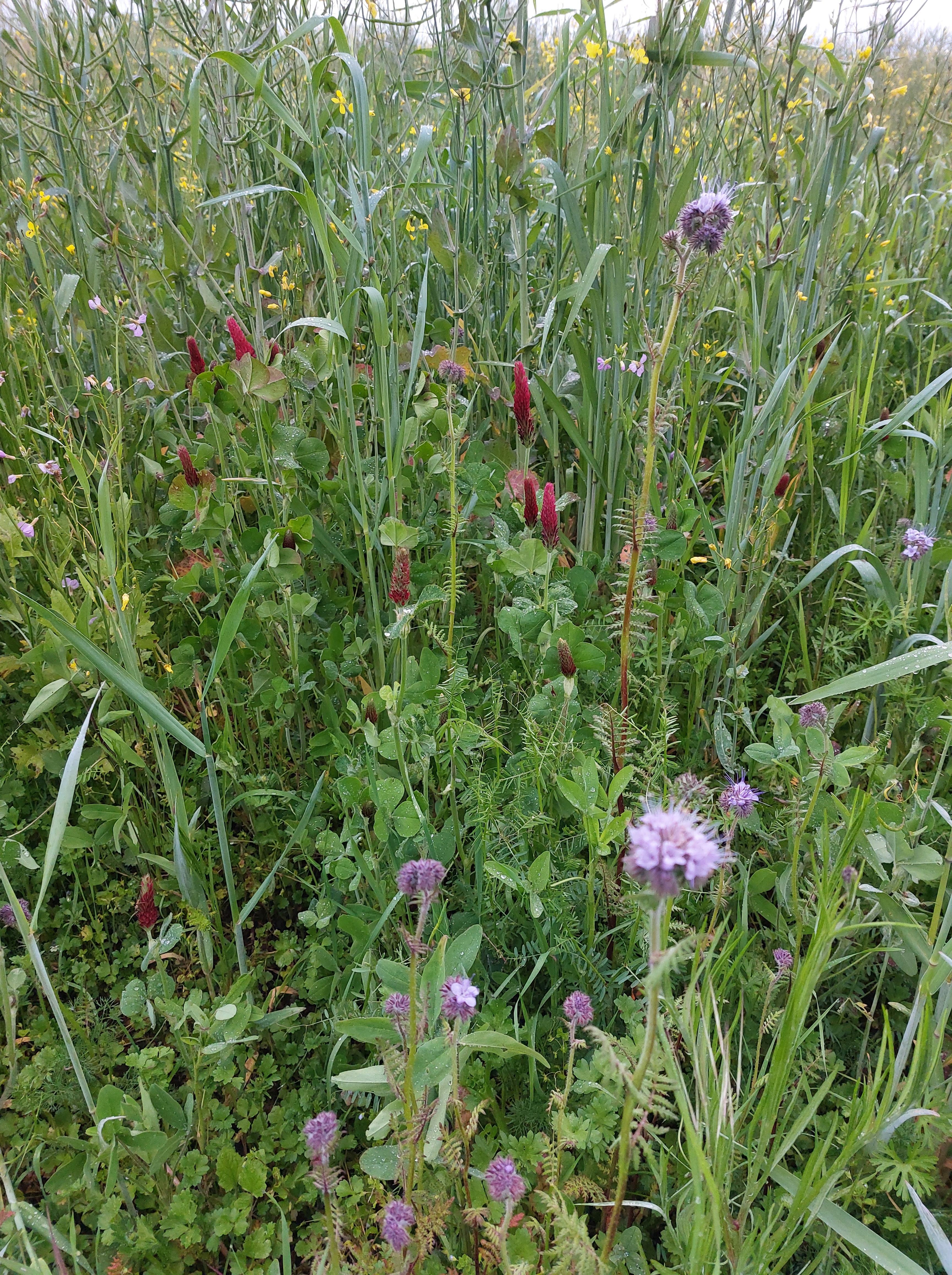 La Ferme des Trois Fontaines