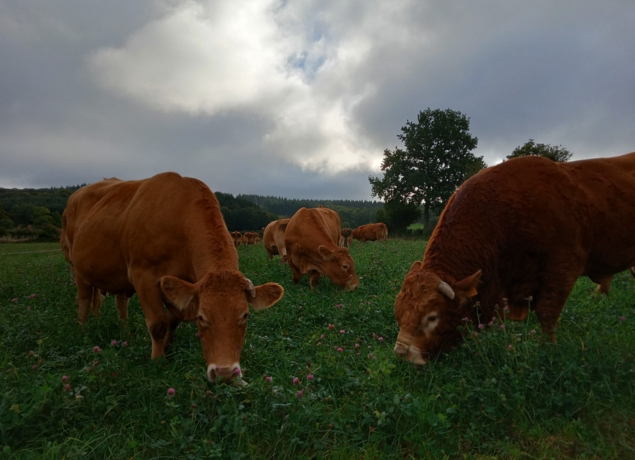 La Ferme de Muriel et Xavier