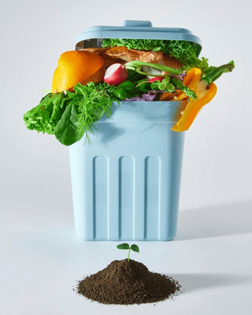 Poubelle contenant des restes de fruits et légumes avec une jeune plante qui pousse devant, illustrant la lutte contre le gaspillage alimentaire et le compostage.