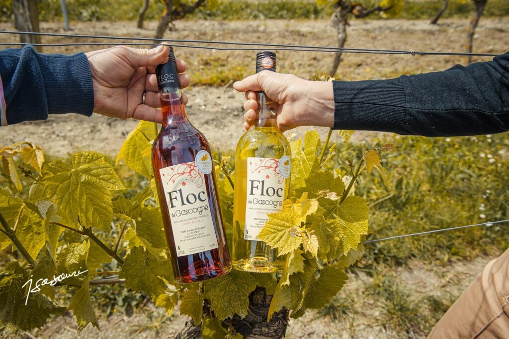 Ferme de Gagnet - floc de gascogne -Credits photo Isabelle Souriment / Hans Lucas.