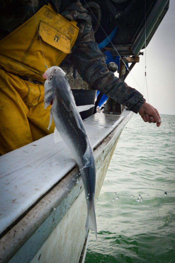 Jannick Vacellier sur le LOLA 