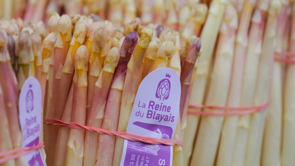 Asperges du Blayais - Reine