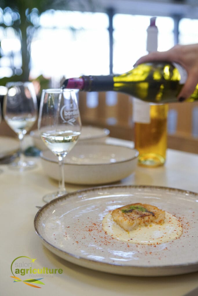 Degustation vin et salon de nouvelle aquitaine Bordeaux