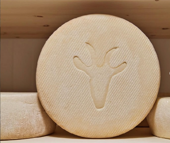Tomme des Pyrénées IGP